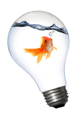 “Make everything as simple as possible, but not simpler.” “Make everything as simple as possible, but not simpler.”
